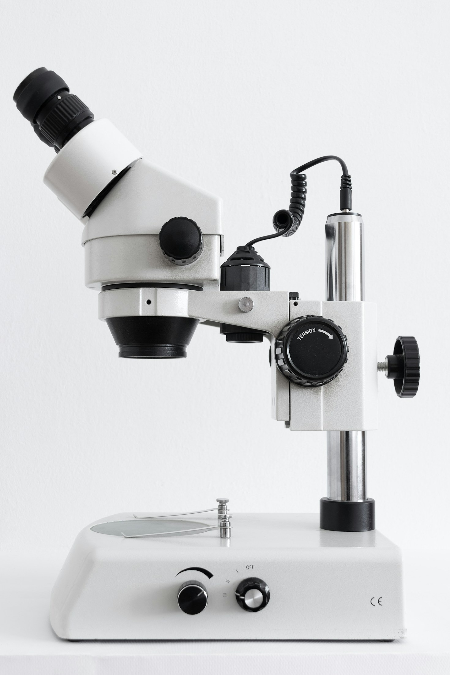 Spotlight on Our Research Themes and Achievements